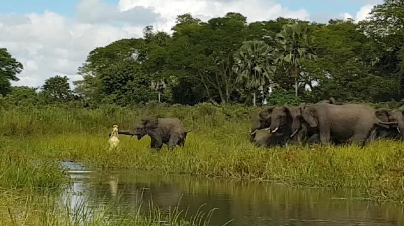 The video has been viewed by lakhs (Photo: YouTube) The video has been viewed by lakhs (Photo: YouTube)