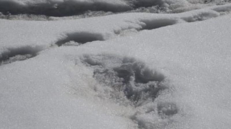 The Army’s expedition seems to have been carried away by a sudden urge to claim a discovery of giant footprints that have stoked tales of a big and hairy semi-human creature said to be perennially roaming the forests. The Army’s expedition seems to have been carried away by a sudden urge to claim a discovery of giant footprints that have stoked tales of a big and hairy semi-human creature said to be perennially roaming the forests.