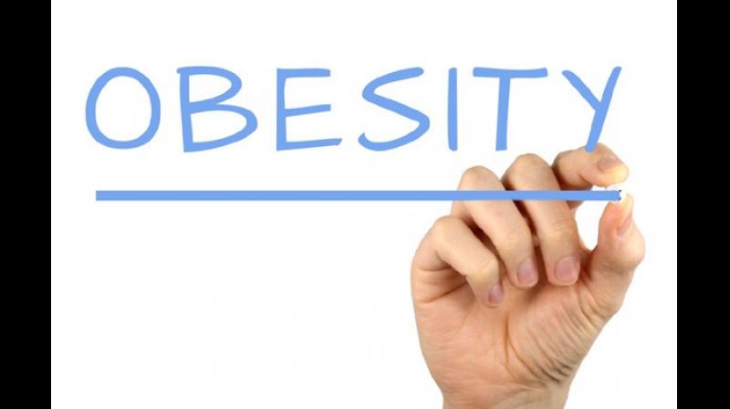 Inadequate access to food can led to obesity. (Photo: ANI) Inadequate access to food can led to obesity. (Photo: ANI)