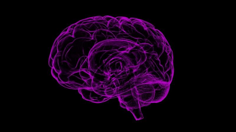 Researchers examined the association between intelligence test scores and leading causes of death in men and women.(Photo: Pixabay) Researchers examined the association between intelligence test scores and leading causes of death in men and women.(Photo: Pixabay)