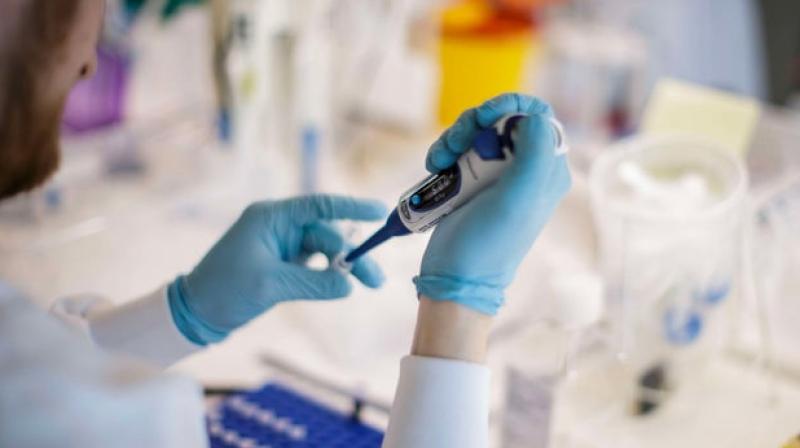 Moderna Inc is planning to price its coronavirus vaccine at $50 to $60 per course. (AFP Photo) Moderna Inc is planning to price its coronavirus vaccine at $50 to $60 per course. (AFP Photo)