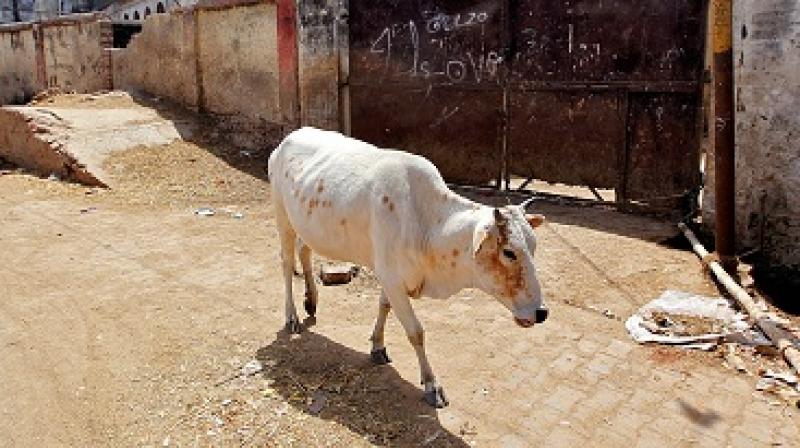 A case under Section 377 (unnatural sexual offences) of the IPC has been registered against the accused and he has been sent to Pauri jail. (Photo: PTI/Representational) A case under Section 377 (unnatural sexual offences) of the IPC has been registered against the accused and he has been sent to Pauri jail. (Photo: PTI/Representational)