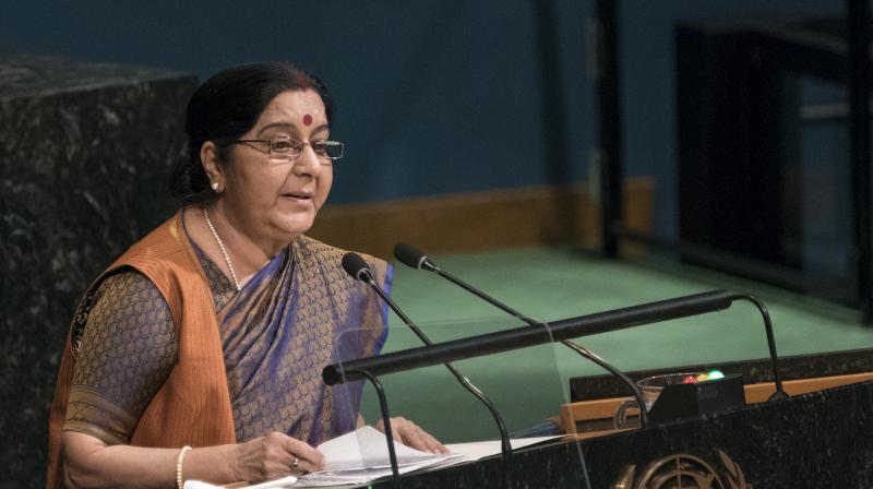 External Affairs Minister Sushma Swaraj in UNGA said, 'India and Pakistan became free within hours of each other. Why is it that today India is a recognised IT superpower in the world, and Pakistan is recognised only as the pre-eminent export factory for terror?' (Photo: AP) External Affairs Minister Sushma Swaraj in UNGA said, 'India and Pakistan became free within hours of each other. Why is it that today India is a recognised IT superpower in the world, and Pakistan is recognised only as the pre-eminent export factory for terror?' (Photo: AP)