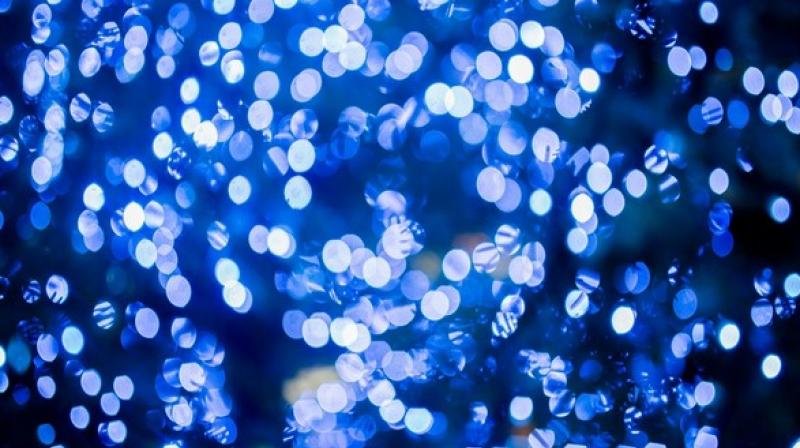 The study has been published in the journal of Current Biology. (Photo: ANI) The study has been published in the journal of Current Biology. (Photo: ANI)