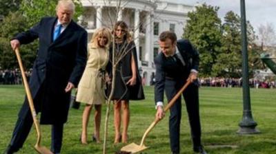 The French leader had offered the young oak to Trump during a state visit to Washington in 2018, and the two shovelled dirt around it under the watchful eyes of their wives — and cameras from around the world. (Photo: AP)