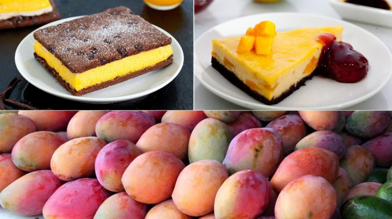Mangoes are not only tasty, but that the “king of fruits” can help you more ways than you can imagine. Mangoes are not only tasty, but that the “king of fruits” can help you more ways than you can imagine.