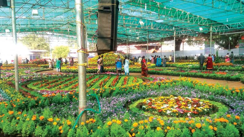 This year’s show is the largest one with over 40,000 plants on display. The 4 to 6 feet high floral installation of a woman in a gown is an attraction of the event. Another is of high heel stilettos made of dry flowers. This year’s show is the largest one with over 40,000 plants on display. The 4 to 6 feet high floral installation of a woman in a gown is an attraction of the event. Another is of high heel stilettos made of dry flowers.