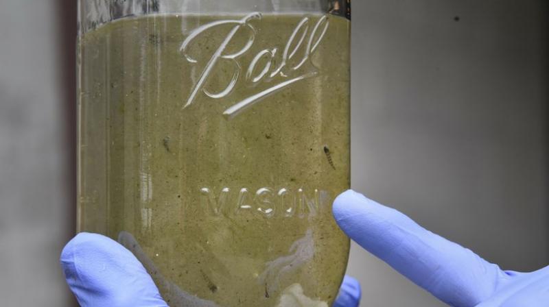 WHO called for further analysis of microplastics in the environment and their potential health significance. (Photo: AP) WHO called for further analysis of microplastics in the environment and their potential health significance. (Photo: AP)