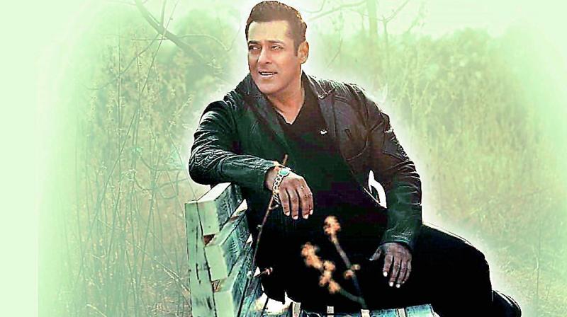 Salman Khan Salman Khan