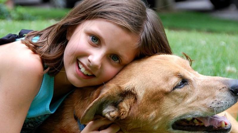 Mental health patients said that their pets helped by distracting them from symptoms and upsetting experiences such as hearing voices or suicidal thoughts. (Photo: Pixabay) Mental health patients said that their pets helped by distracting them from symptoms and upsetting experiences such as hearing voices or suicidal thoughts. (Photo: Pixabay)
