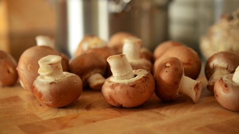 The more common mushroom types, like the white button, had less of the antioxidants, but had higher amounts than most other foods (Photo: Pixabay) The more common mushroom types, like the white button, had less of the antioxidants, but had higher amounts than most other foods (Photo: Pixabay)