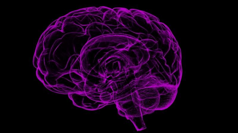 Imbalance in pH levels may cause Alzheimer's disease. (Photo: Pixabay) Imbalance in pH levels may cause Alzheimer's disease. (Photo: Pixabay)