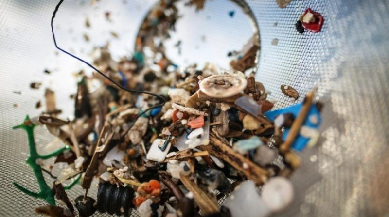 Microplastic particles are either dumped directly into the seas via sewers and rivers or form when larger chunks of plastic break down over time. (Photo: AFP) Microplastic particles are either dumped directly into the seas via sewers and rivers or form when larger chunks of plastic break down over time. (Photo: AFP)