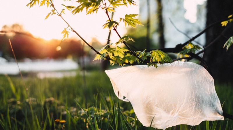 New bio-renewable plastic alternative could be solution to pollution issue. (Photo: Pixabay) New bio-renewable plastic alternative could be solution to pollution issue. (Photo: Pixabay)