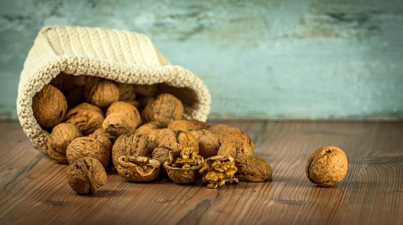 Omega-3 fatty acids, which are necessary for human health is found in walnuts (Photo: Pixabay) Omega-3 fatty acids, which are necessary for human health is found in walnuts (Photo: Pixabay)
