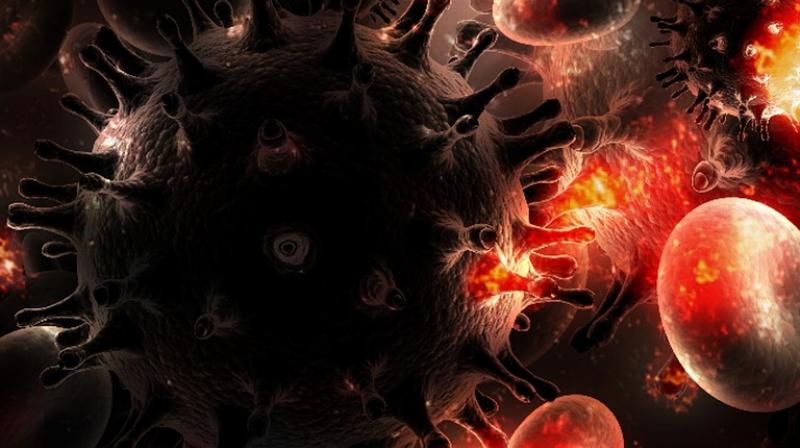 Researchers have found immune system may keep body from neutralizing HIV-1 virus (Photo: Pixabay) Researchers have found immune system may keep body from neutralizing HIV-1 virus (Photo: Pixabay)