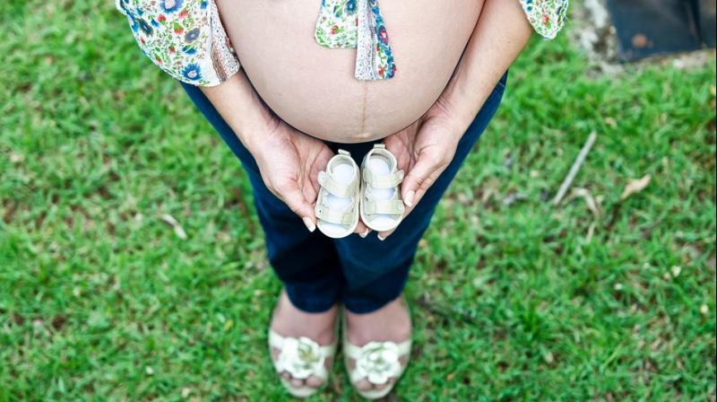 Risk of microcephaly and other diseases in a developing foetus affected by Zika is high (Photo: Pixabay) Risk of microcephaly and other diseases in a developing foetus affected by Zika is high (Photo: Pixabay)