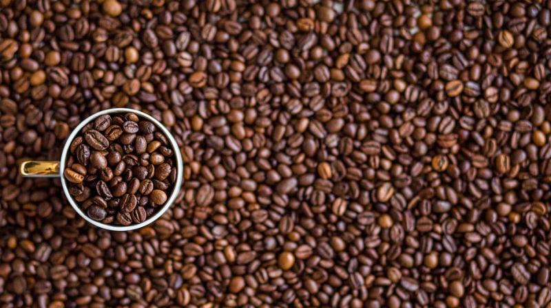 Researchers have demonstrated that caffeine acts as respiratory stimulant that improves short-term breathing rates (Photo: Pixabay) Researchers have demonstrated that caffeine acts as respiratory stimulant that improves short-term breathing rates (Photo: Pixabay)