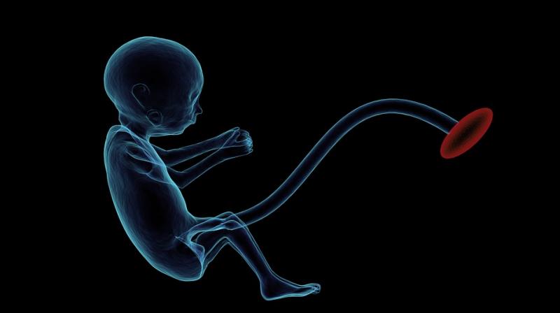 New study shows babies can distinguish between someone speaking to them in English and someone in Japanese a month before they are born. (Photo: Pixabay) New study shows babies can distinguish between someone speaking to them in English and someone in Japanese a month before they are born. (Photo: Pixabay)