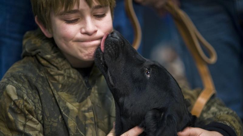 Dog mouth may contain bacteria that are not at all suitable for the human body (Photo: Pixabay) Dog mouth may contain bacteria that are not at all suitable for the human body (Photo: Pixabay)