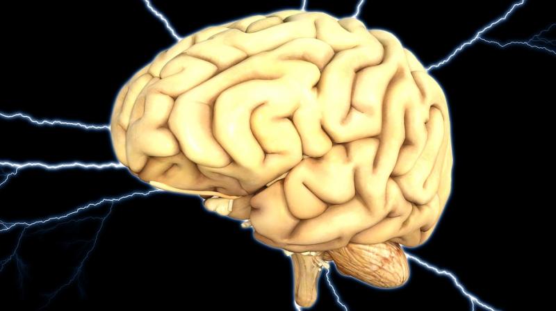 According to researchers study is very important study to help understand gender-based brain differences (Photo: Pixabay) According to researchers study is very important study to help understand gender-based brain differences (Photo: Pixabay)