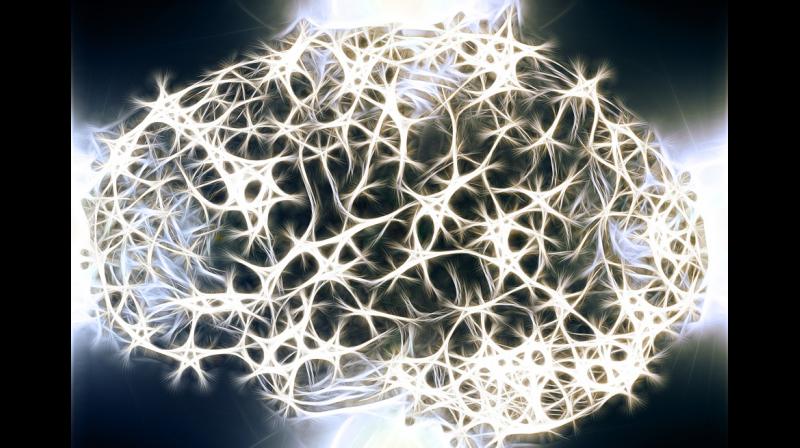 Life-long exposure to elevated levels of klotho boost mental functions (Photo: Pixabay) Life-long exposure to elevated levels of klotho boost mental functions (Photo: Pixabay)