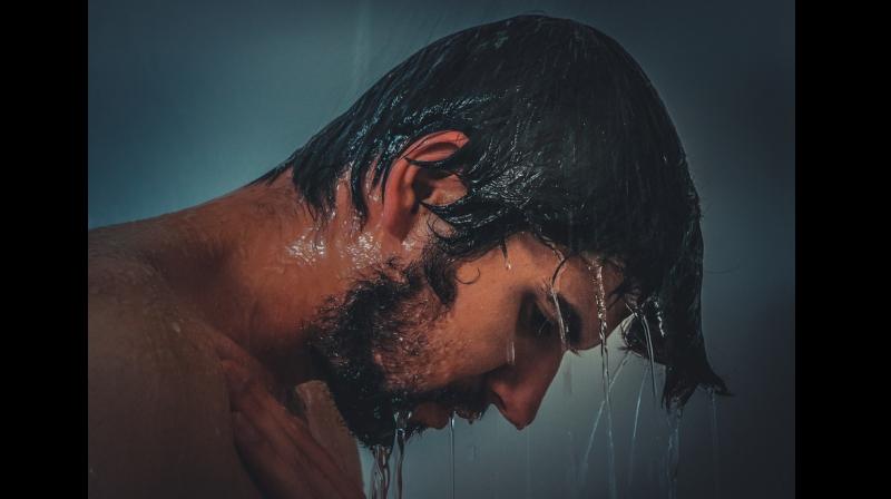 The quiescence of hair follicle stem cells is regulated by many factors. In certain cases they fail to activate, which is what causes hair loss (Photo: Pixabay) The quiescence of hair follicle stem cells is regulated by many factors. In certain cases they fail to activate, which is what causes hair loss (Photo: Pixabay)