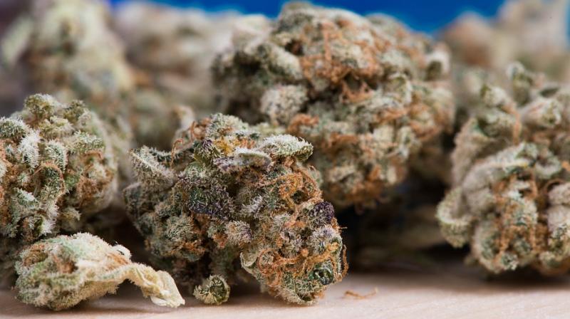 Marijuana use can improve oxygen and blood flow to the brain, reducing the risk of clots that cause brain attacks (Photo: Pixabay) Marijuana use can improve oxygen and blood flow to the brain, reducing the risk of clots that cause brain attacks (Photo: Pixabay)