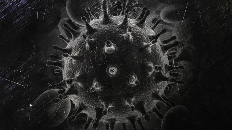 Approach from the Northwestern Medicine scientists allowed the behaviour of individual virions, infectious particles, to be connected to infectivity. (Photo: Pixabay) Approach from the Northwestern Medicine scientists allowed the behaviour of individual virions, infectious particles, to be connected to infectivity. (Photo: Pixabay)