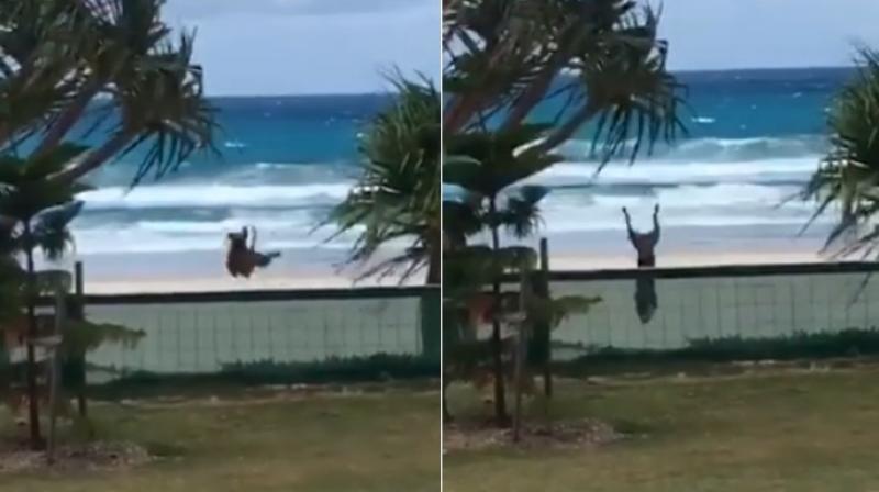 The video now has 7.5 million views and over 110,000 shares on Facebook. (Photo: Facebook/9 News Gold Coast)) The video now has 7.5 million views and over 110,000 shares on Facebook. (Photo: Facebook/9 News Gold Coast))