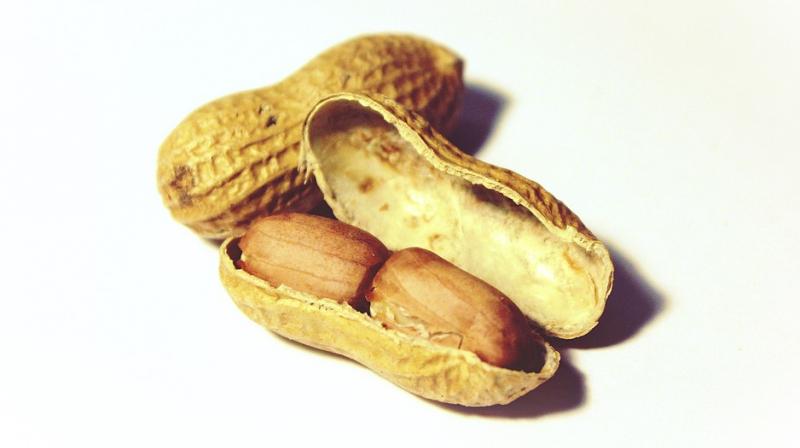 Whole nuts are not advised for babies or children up to the age of 3, due to the risk of choking. (Photo: Pixabay) Whole nuts are not advised for babies or children up to the age of 3, due to the risk of choking. (Photo: Pixabay)