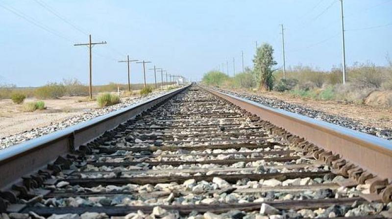 The accident occurred in the eastern city of Oss, near the German border. (Representational | PTI) The accident occurred in the eastern city of Oss, near the German border. (Representational | PTI)