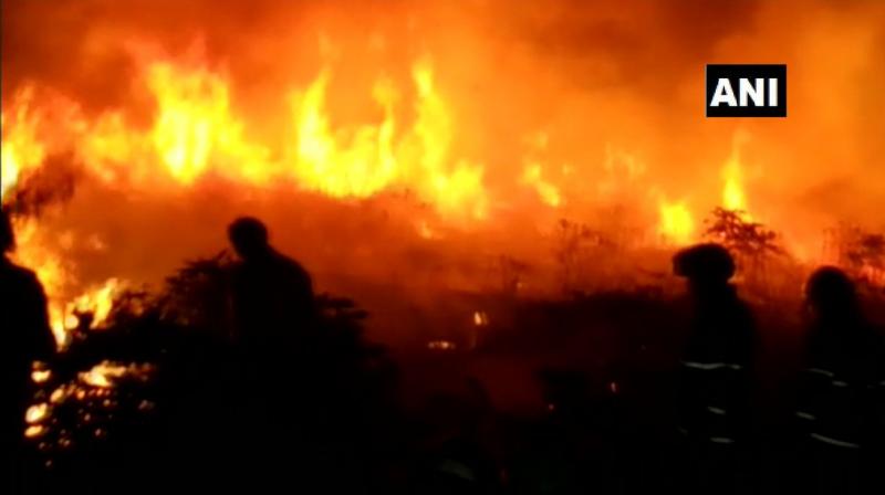 A total of 10 fire fighting engines, seven JTs, three Quick Response Vehicles were pressed into service. (Photo: Twitter | ANI) A total of 10 fire fighting engines, seven JTs, three Quick Response Vehicles were pressed into service. (Photo: Twitter | ANI)