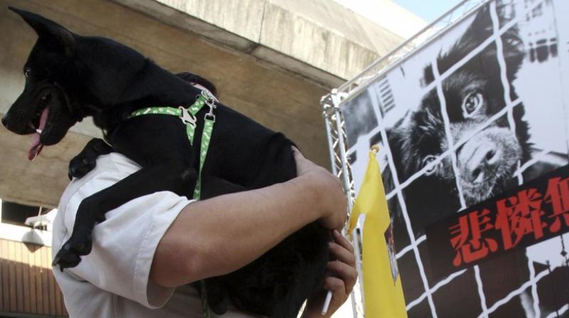 People who sell or eat dog or cat meat face a fine of up to 250,000 Taiwan dollars ($8,000) (Photo: AP) People who sell or eat dog or cat meat face a fine of up to 250,000 Taiwan dollars ($8,000) (Photo: AP)