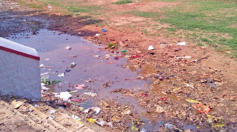 The Noyyal river goes dry at Perur in Kovai. (Photo: DC) The Noyyal river goes dry at Perur in Kovai. (Photo: DC)