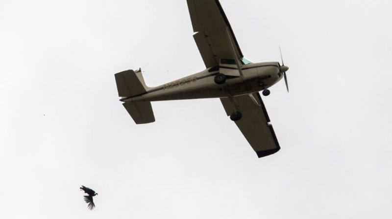 “Why don’t you jump yourselves with no parachute. … Think you’ll like it?” one person wrote to the Chamber of Commerce. (Photo: AP) “Why don’t you jump yourselves with no parachute. … Think you’ll like it?” one person wrote to the Chamber of Commerce. (Photo: AP)