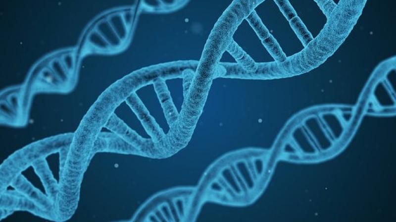 The notice was signed by Rasmus Nielsen, senior author of the original paper, and co-author Xinzhu Wei. (Photo: Representational/Pixabay)