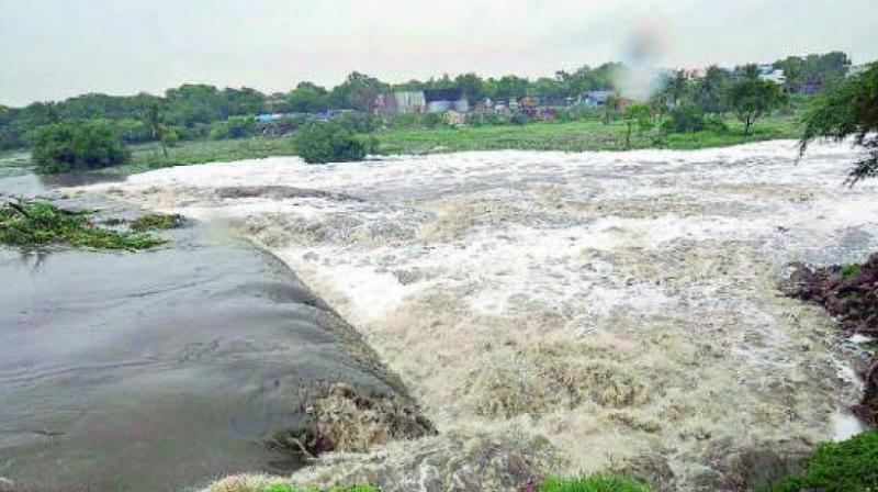 Sources said TS irrigation engineer-in-chief C. Muralidhar had asked the board to include in the agenda the matter of release of water to the Nagarjunasagar left canal on priority. Sources said TS irrigation engineer-in-chief C. Muralidhar had asked the board to include in the agenda the matter of release of water to the Nagarjunasagar left canal on priority.