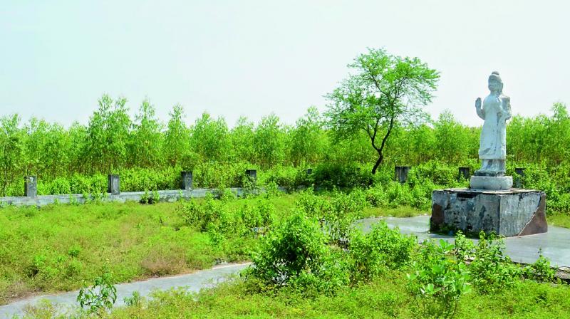 The theme park on Lord Buddha in a state of neglect near Dantapuri under Sarubujjili in Srikakulam district. The theme park on Lord Buddha in a state of neglect near Dantapuri under Sarubujjili in Srikakulam district.