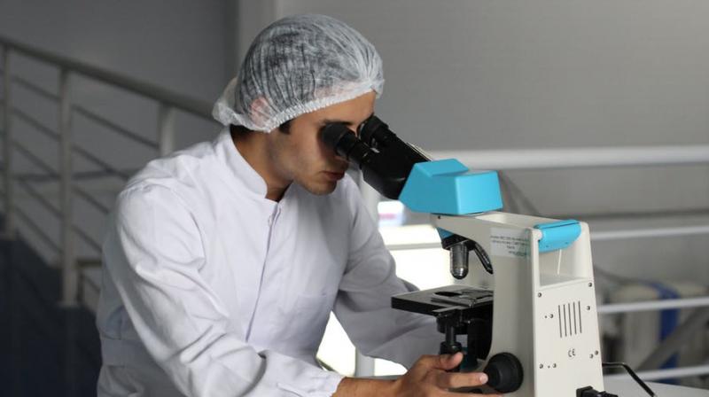 Researchers find faeces appears to be as unique as fingerprints. (Photo: Pixabay) Researchers find faeces appears to be as unique as fingerprints. (Photo: Pixabay)