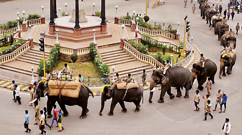 There are cultural troupes accompanying them but the cynosure of all eyes is the Howdah elephant that carries the 700 kg Golden Howdah in which the idol of Goddess Chamundeshwari is placed. There are cultural troupes accompanying them but the cynosure of all eyes is the Howdah elephant that carries the 700 kg Golden Howdah in which the idol of Goddess Chamundeshwari is placed.