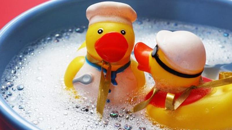 The murky liquid released when ducks were squeezed contained "potentially pathogenic bacteria". (Photo: Pixabay) The murky liquid released when ducks were squeezed contained "potentially pathogenic bacteria". (Photo: Pixabay)