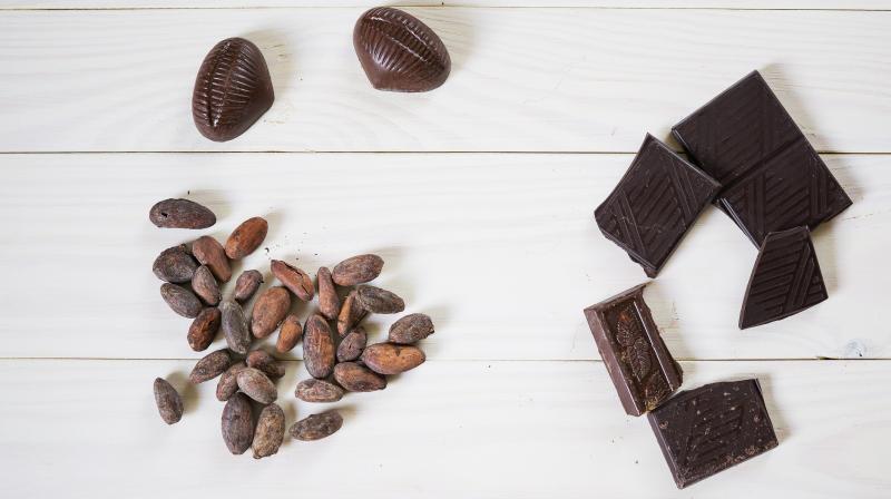 The cocoa industry is threatening to the environment, including by contributing to deforestation. (Photo: Pixabay) The cocoa industry is threatening to the environment, including by contributing to deforestation. (Photo: Pixabay)