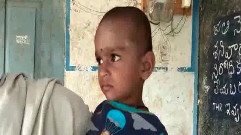 The incident reportedly took place on Monday in Krishna district's Bhushanagulla village in Andhra Pradesh. (Photo: ANI) The incident reportedly took place on Monday in Krishna district's Bhushanagulla village in Andhra Pradesh. (Photo: ANI)