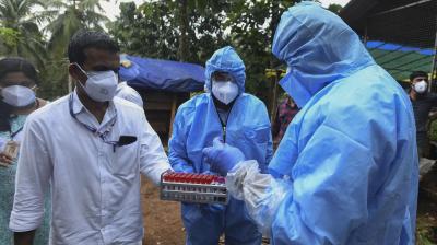 The remaining samples were also being tested by the lab and its results would be available soon, the minister added. (File Image/AP)