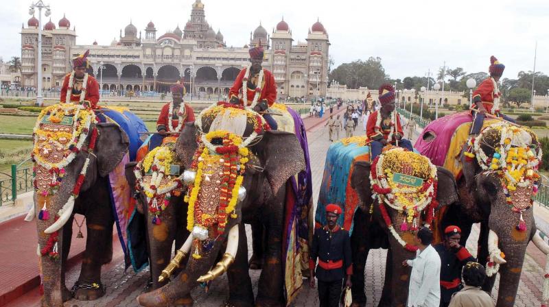 A file photo of Dasara elephants led by howdah-bearer Arjuna arriving for the grand reception in Mysuru A file photo of Dasara elephants led by howdah-bearer Arjuna arriving for the grand reception in Mysuru