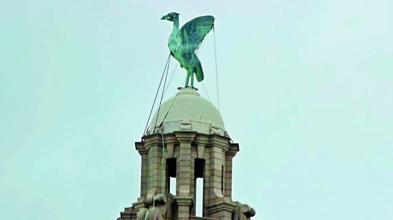 The Liver bird The Liver bird