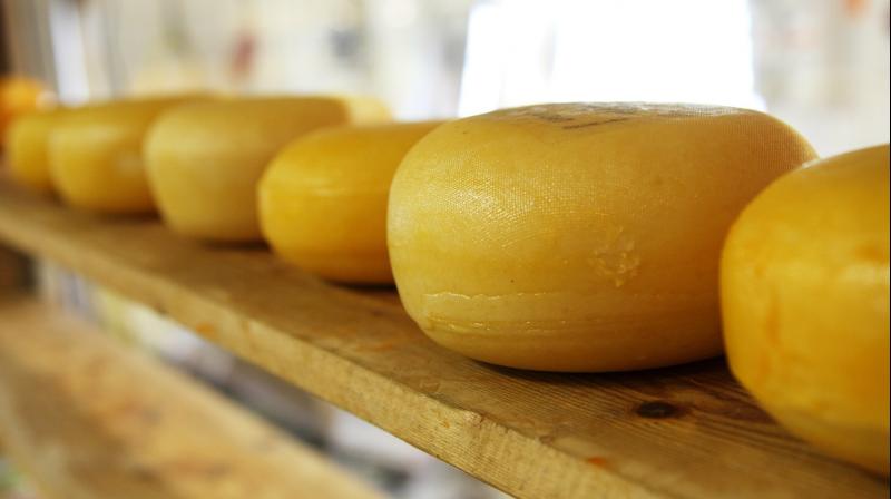 Cheese and Music are much relative to each other. (Photo: Pixabay) Cheese and Music are much relative to each other. (Photo: Pixabay)