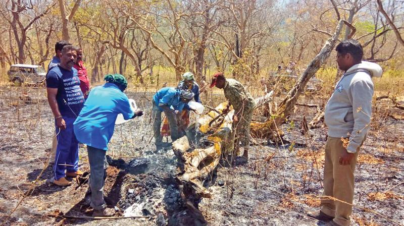 Foresters dousing the fire sparks in the partially burnt trees inside the MTR woods. (Image DC) Foresters dousing the fire sparks in the partially burnt trees inside the MTR woods. (Image DC)