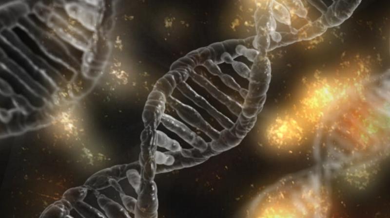 Researchers think they can improve the treatment and are trying again to tackle HIV by doctoring DNA. (Photo: Pixabay) Researchers think they can improve the treatment and are trying again to tackle HIV by doctoring DNA. (Photo: Pixabay)